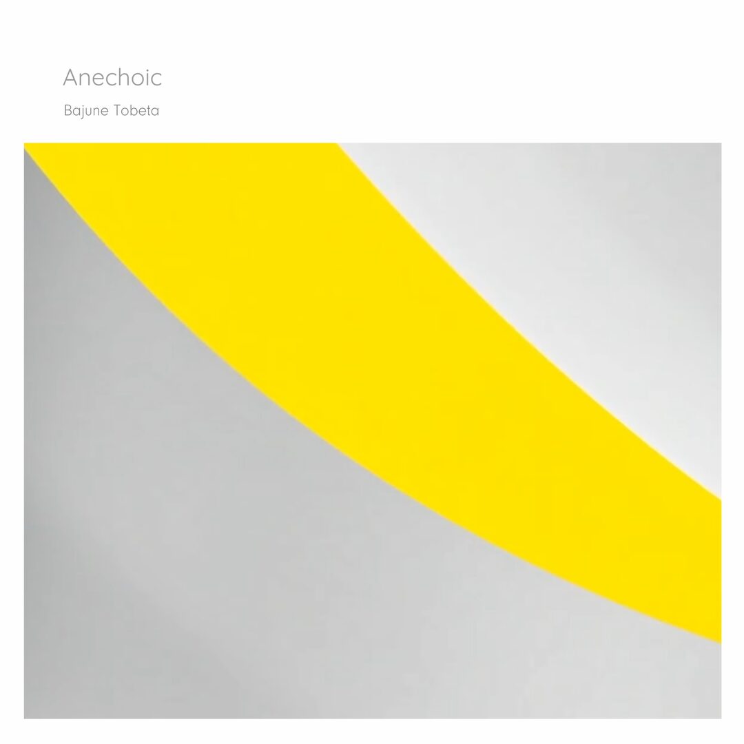 Anechoic cover artwork