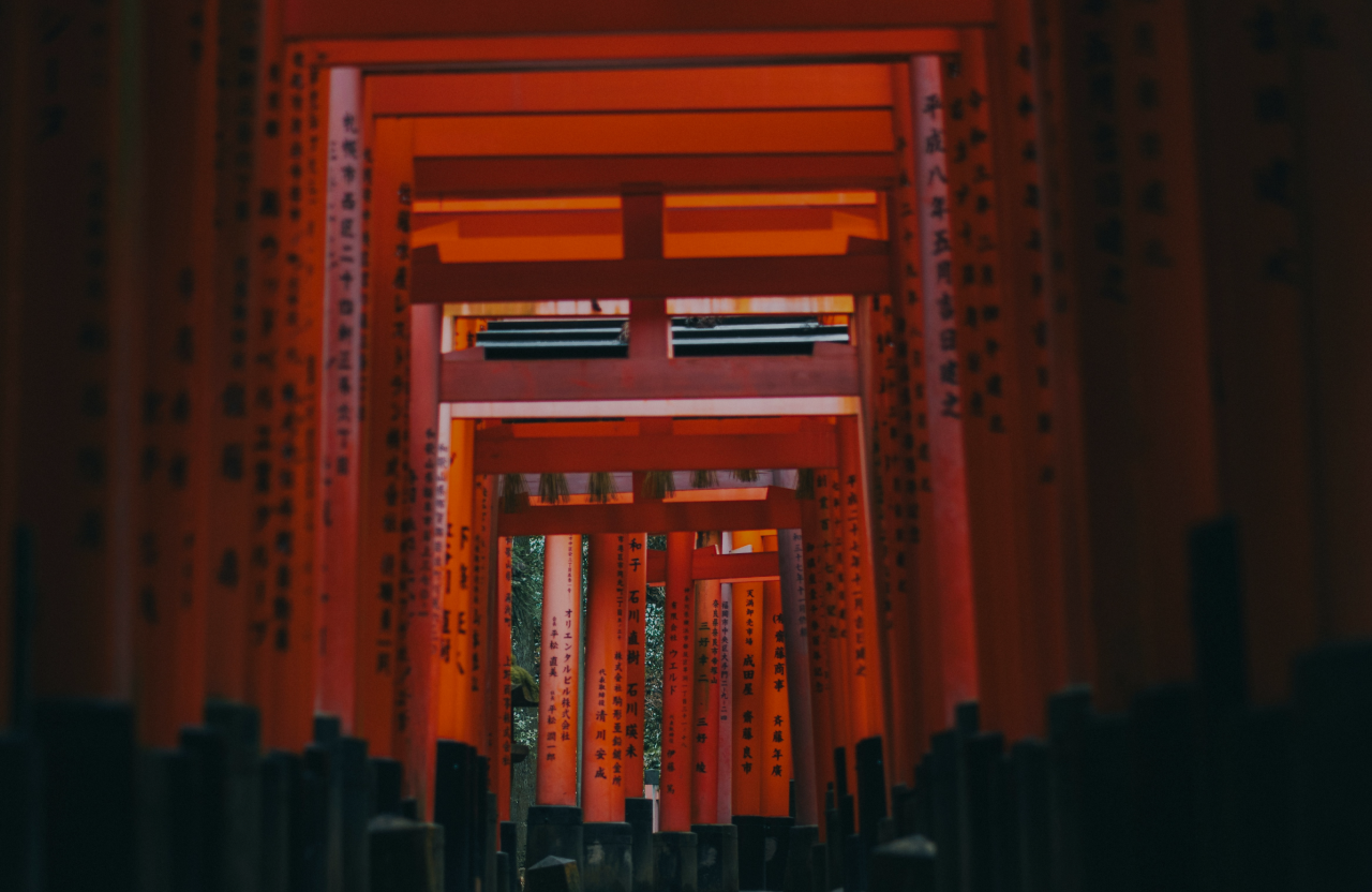 トップ - BAJUNE TOBETA